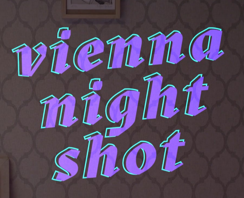 Vienna Night Shot